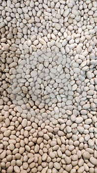 White beans in a market
