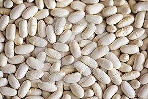 White beans or navy beans background, healthy dried legume packed with vitamins, minerals, fibers and antioxidants