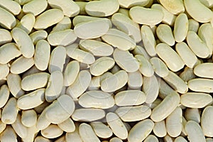 White beans pods texture Phaseolus vulgaris in evening sunshine