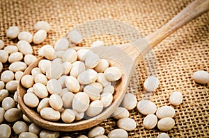 White beans seeds in wooden spoon.