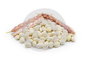 White Beans on white background