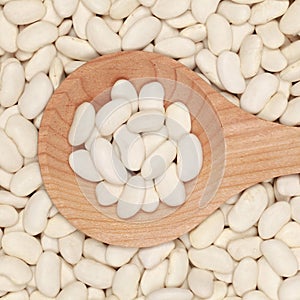 White beans on a wooden spoon