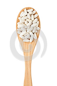 White beans on wooden spoon