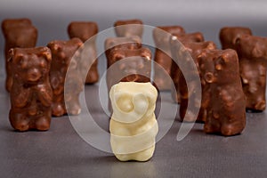 The white bear in chocolate