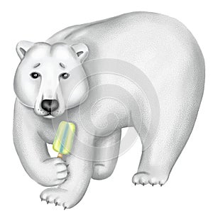 White bear with a colorful popsicle. Hand drawn digital illustration.