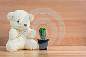 White bear hugging a cup and cactus on a brown wood background.