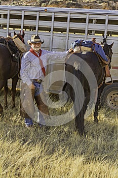 White Bearded Cowboy by his Horse photo