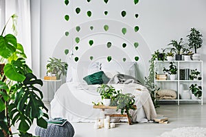 White bedroom interior with king size bed with pillows and blanket, urban jungle and green leafs on the wall