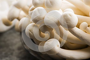 White beech mushrooms, Shimeji mushroom