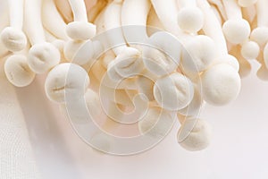 White beech mushrooms, Shimeji mushroom