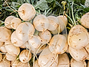 White Beets