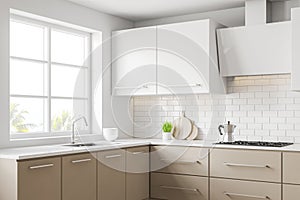 White and beige kitchen corner with countertops