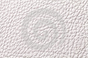 White beige leather texture background with pattern, closeup.