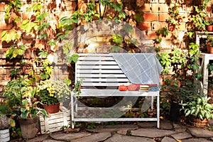 White bench in autumn garden. Autumn outdoor relax. Backyard garden grow decorative green plants and chrysanthemums. Pile of books