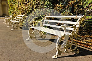 White bench decorated with dog heads. Wilanow Park. Poland photo