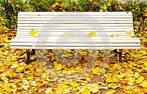 White bench in park