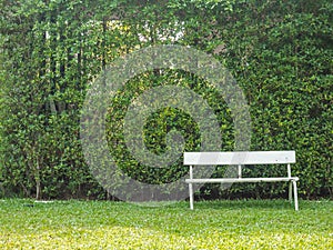 White bench stand alone in the park