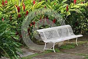 White bench surrounded by beautiful red tropical Alpinia flowers - place to contemplate