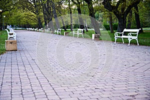 White benches in Frantiskovy lazne