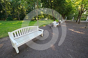 White benches in a summer garden