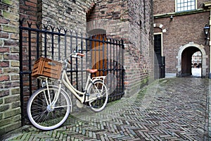White bicycle near the lattice in Binnenhof photo