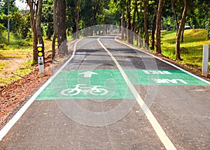 White bicycle symbols. on the track cycling in the park.