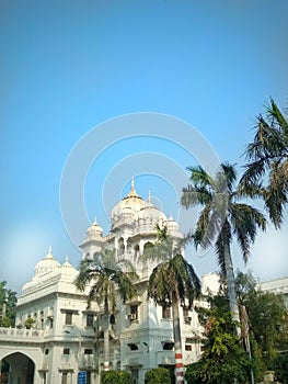 White big building with palm tree