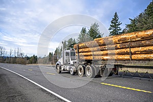 White big rig semi truck with day cab transporting wood logs on the special semi trailer driving on the road with winter forest on
