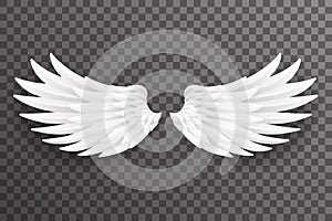 White bird angel fly wings 3d realistic design transparent background vector illustration