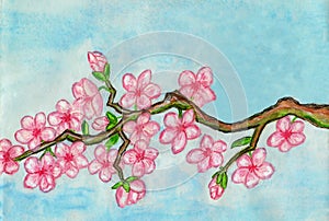 White bird on branch with pink flowers, painting