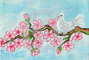 White bird on branch with pink flowers, painting