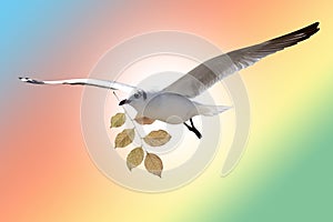 White Bird carrying a dry leaf branch is flying freely in Cloud and sky with a pastel colored background.