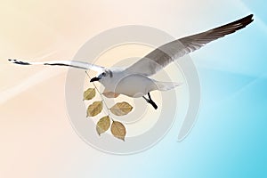 White Bird carrying a dry leaf branch is flying freely in Cloud and sky with a pastel colored background.