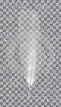 White bird feather on gray background. Vector Illustration.