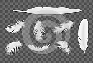 White bird feathers transparent realistic set isolated