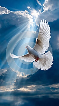 White bird flies through bright sky
