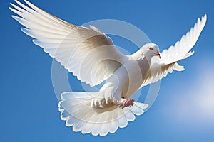 White bird flying in the air with its wings wide open and wings wide open. Generative AI