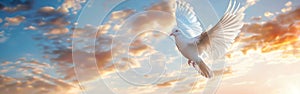 White Bird Flying in Cloudy Blue Sky