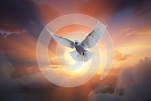 a white bird flying through a cloudy sky with the sun in the background and clouds in the foreground, with the sun setting behind