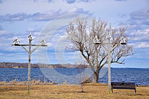 White Birdhouses on Tall Poles Along the Lakeshore