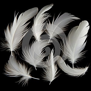 white birds feather background isolated on black generated by AI tool