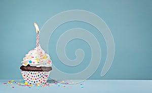 White Birthday Cupcake with sprinkles