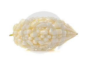 White bitter cucumber on white background