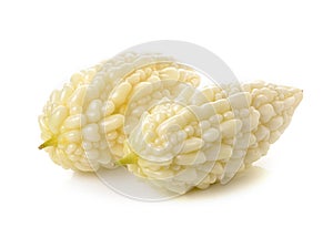 White bitter cucumber on white background