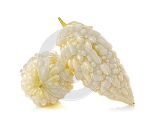 White bitter cucumber on white background