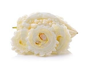 White bitter cucumber on white background