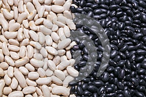 White and black beans background