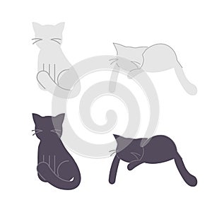 White and black cats set on white background