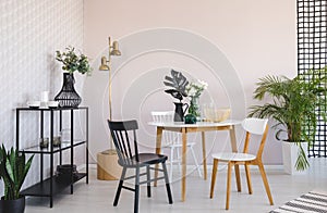 White and black chair at wooden table with plant in dining room interior with gold lamp. Real photo
