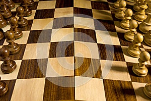 White and black chess pieces